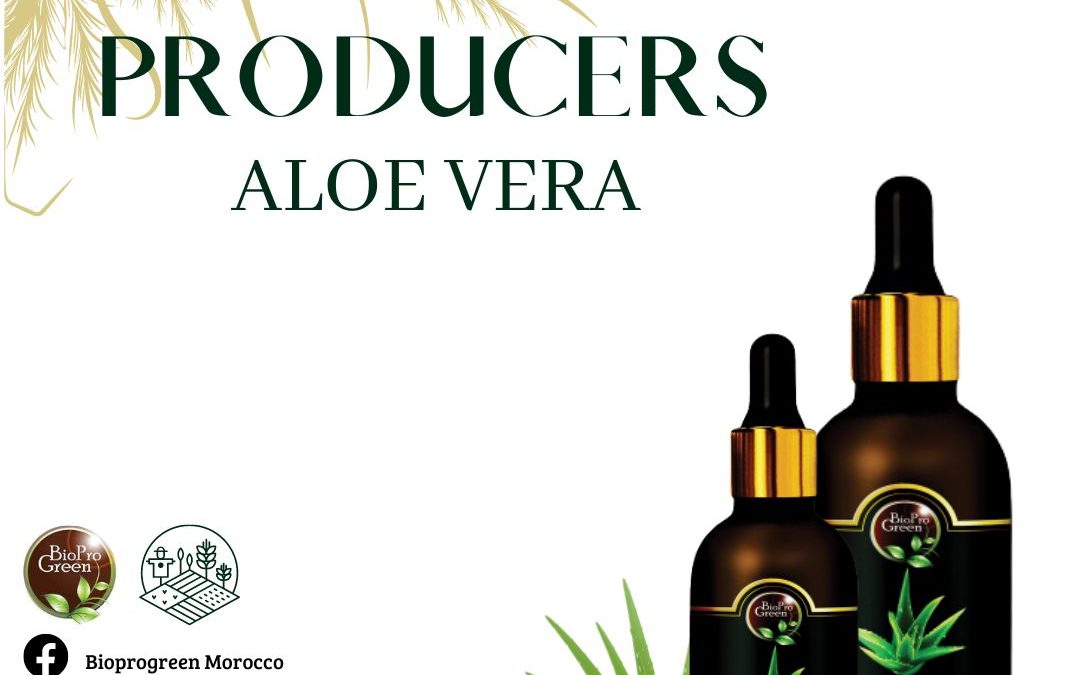 Aloe Vera Oil Producers