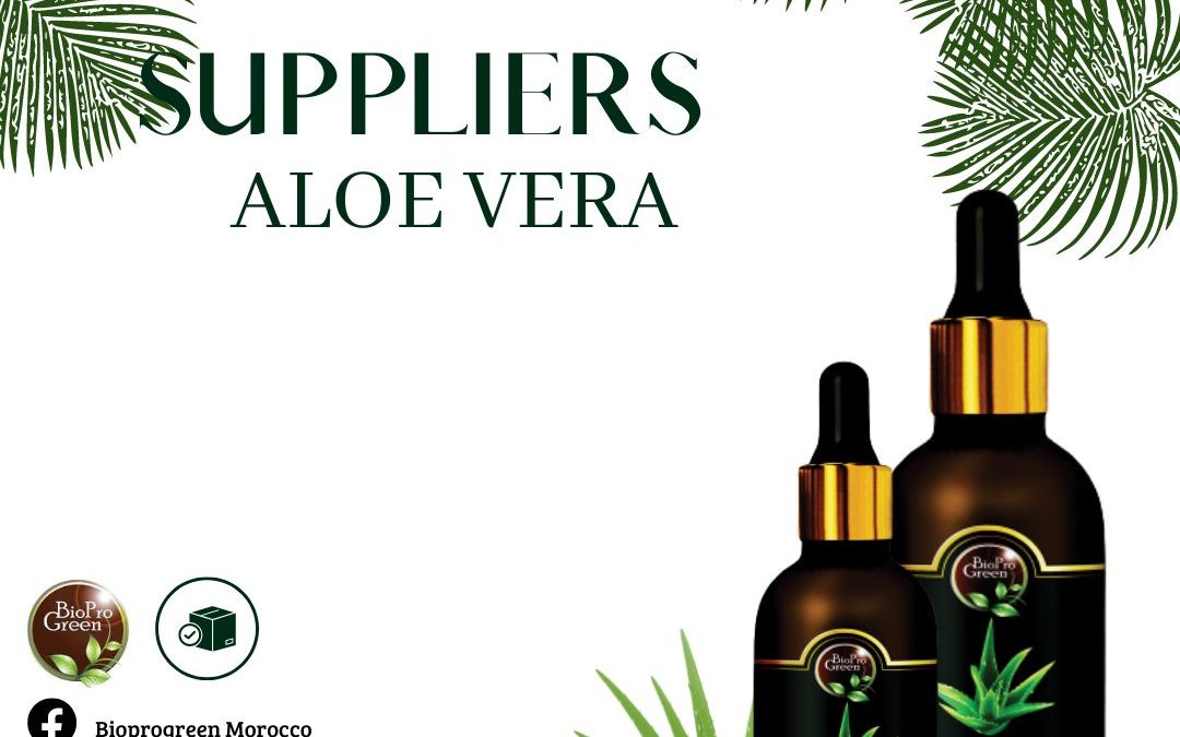 Aloe Vera Oil Suppliers