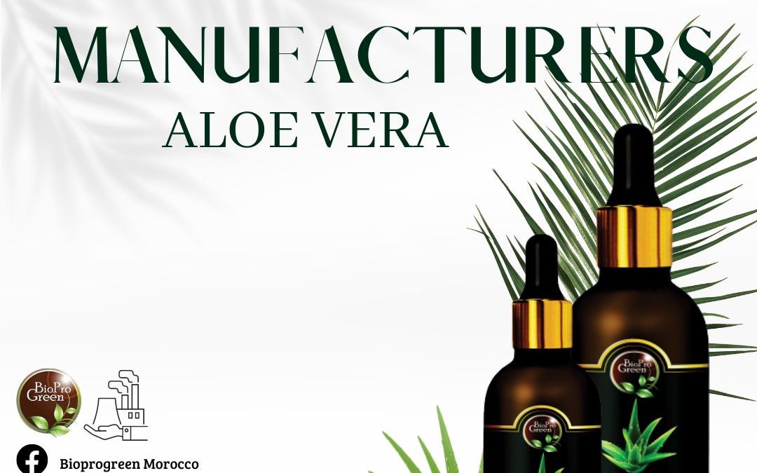 Aloe Vera Oil Manufacturing
