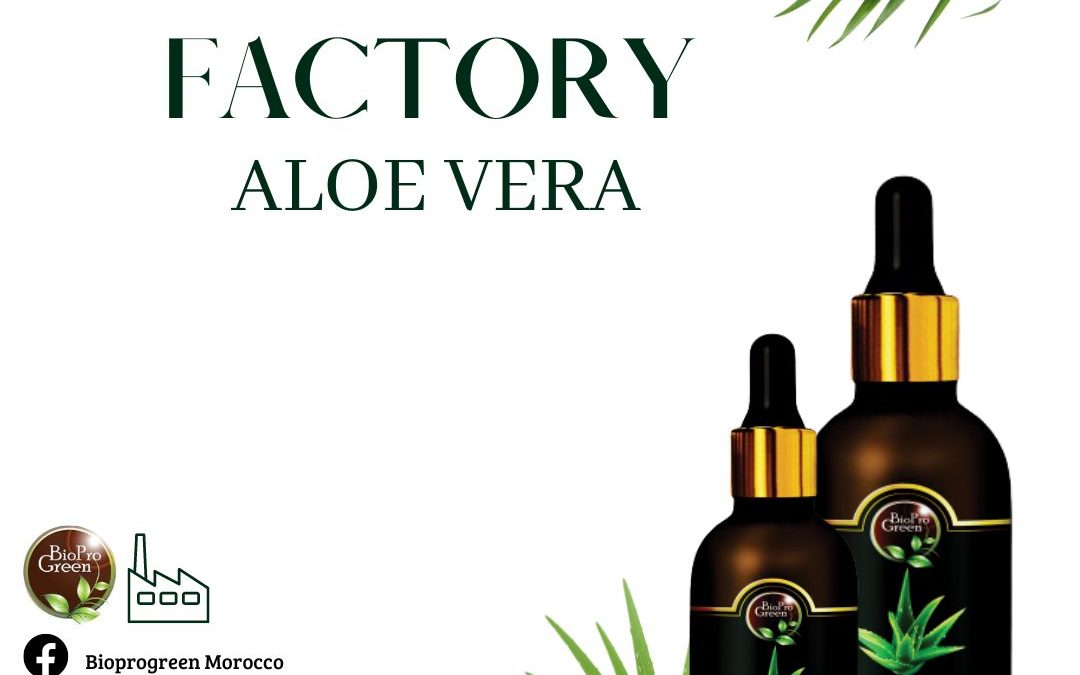 Aloe Vera Oil Factory