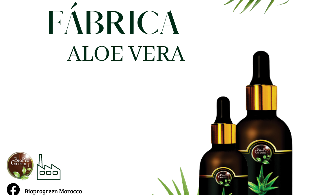 Fábrica de aceite de Aloe Vera