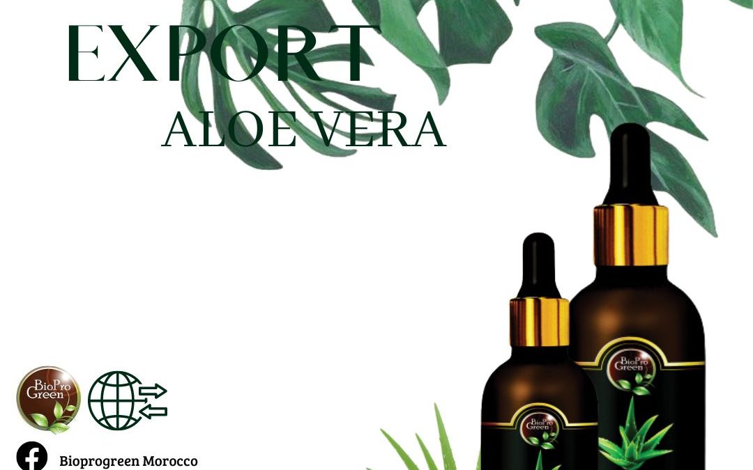 Aloe Vera Oil Exports