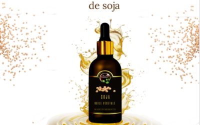Usine d’huile végétale de soja