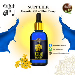 Blue Tansy Essentiel Oil for Supplier