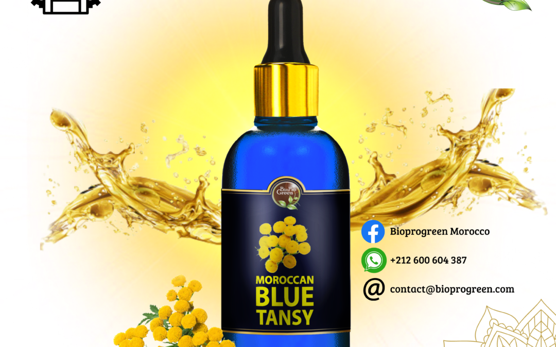 Huile Essentiel de Tanaisie Bleu pour producteur