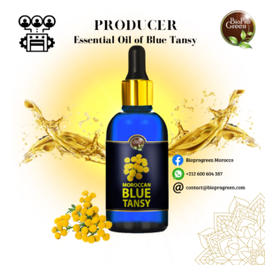 Blue Tansy Essentiel Oi for Producer