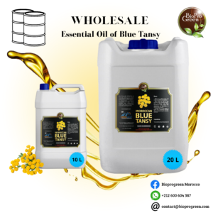 Blue Tansy Essentiel Oil for wholesale