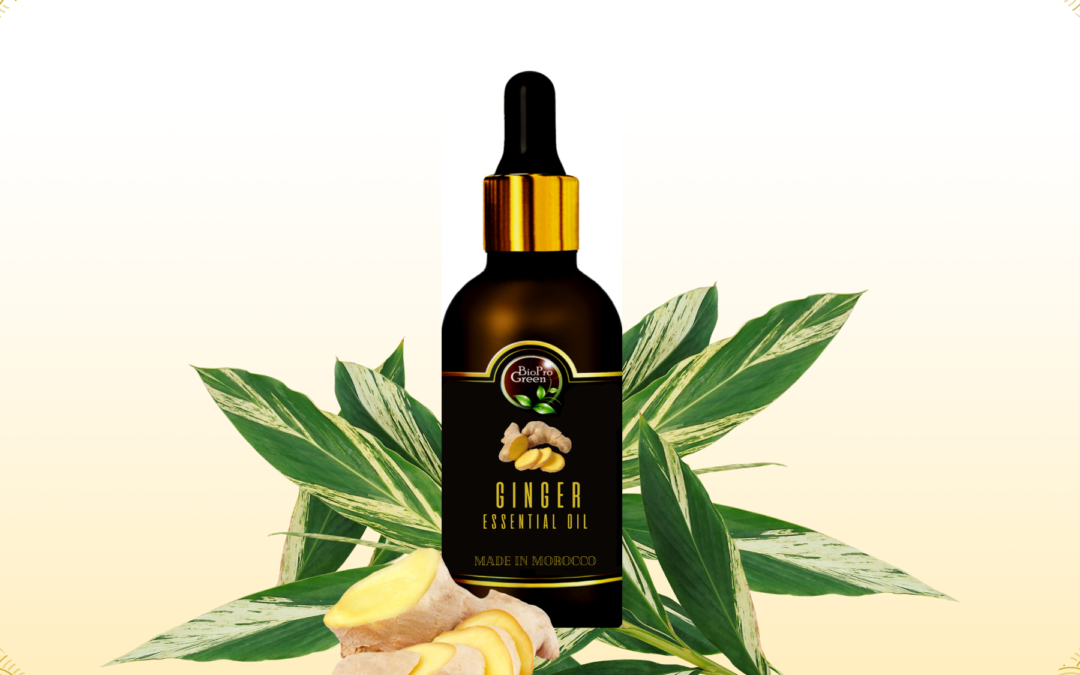 Ginger Oil Producer