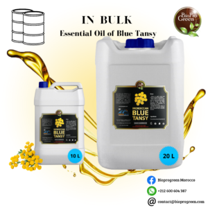 Blue Tansy Essentiel Oil in builk