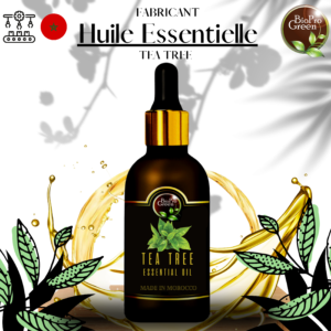 Fabricant de l’huile Essentielle de Tea Tree