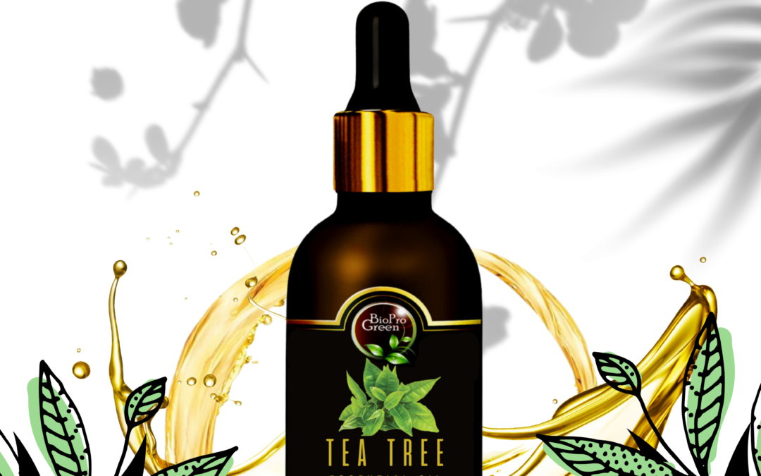 Fabricants d’huiles essentielles de Tea Tree