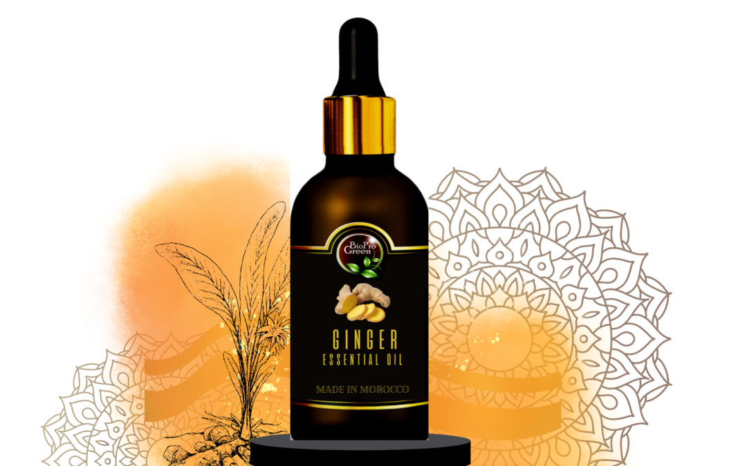 Wholesale Ginger Oil