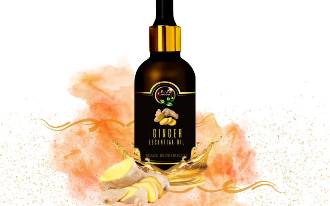 Ginger Oil Factory