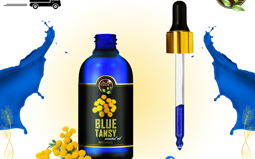 Blue Tansy Essentiel Oil for distributor