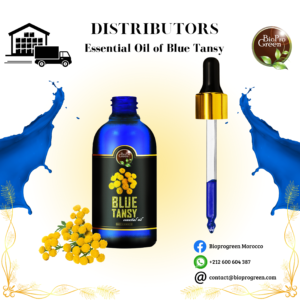 Blue Tansy Essentiel Oil for distributor