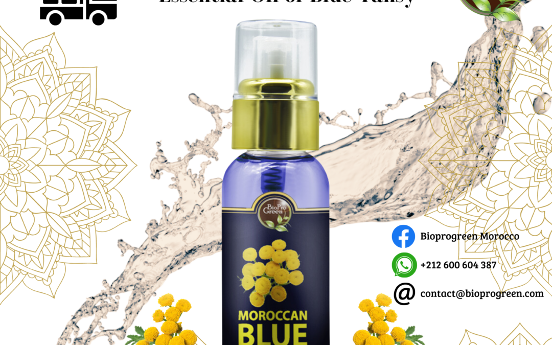 Blue Tansy Essentiel Oil for Export
