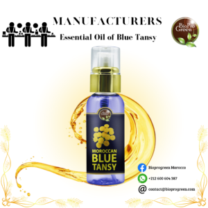 Blue Tansy Essentiel Oil for Manufacturer