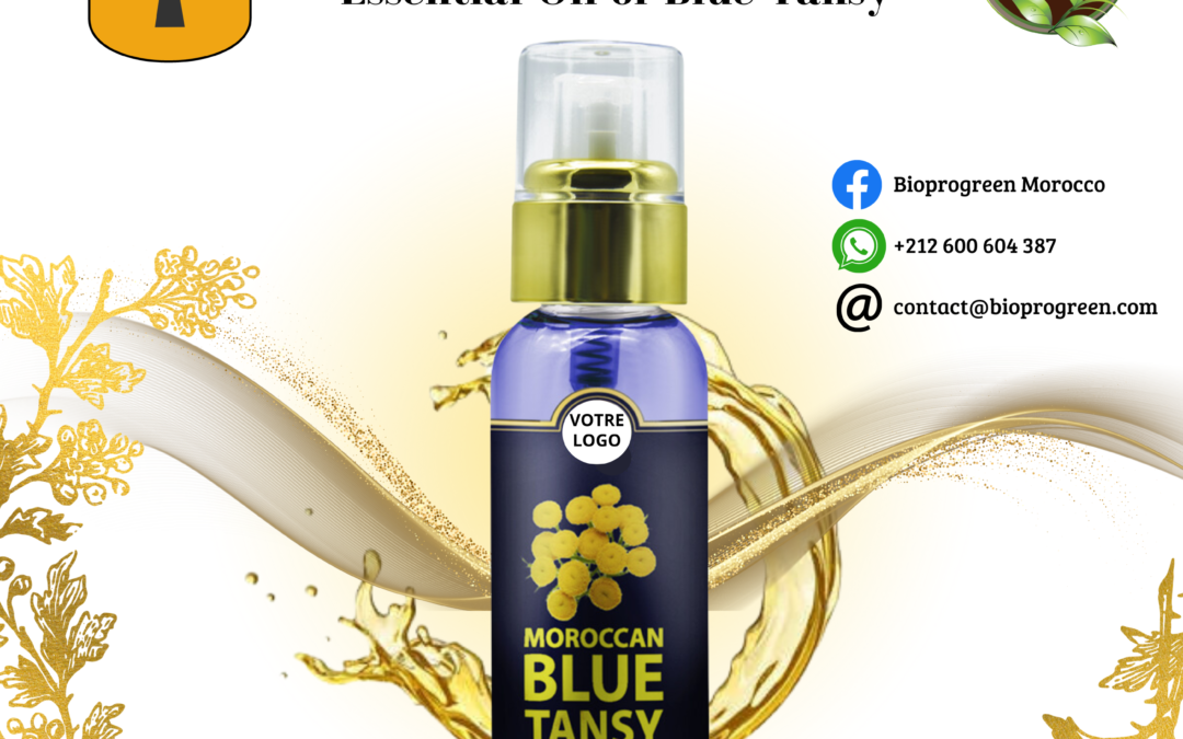 Blue Tansy Essentiel Oil for Private Label