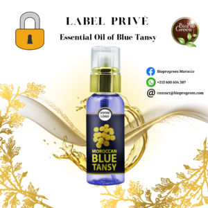 Blue Tansy Essentiel Oil for Private Label