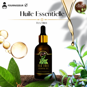 Fournisseur d’Huile Essentielle de Tea Tree