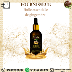 Fournisseur d’Huile Essentielle de Gingembre