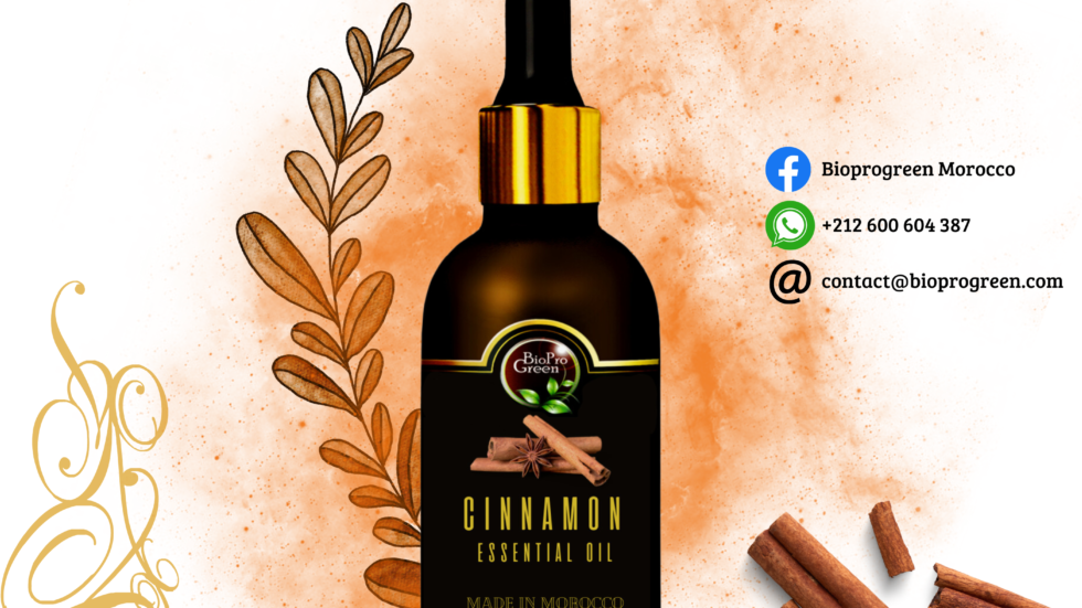Cinnamon Essential Oil Amazon