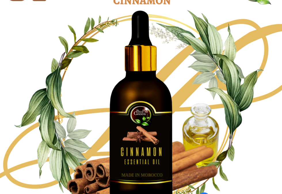 Cinnamon essential oil export