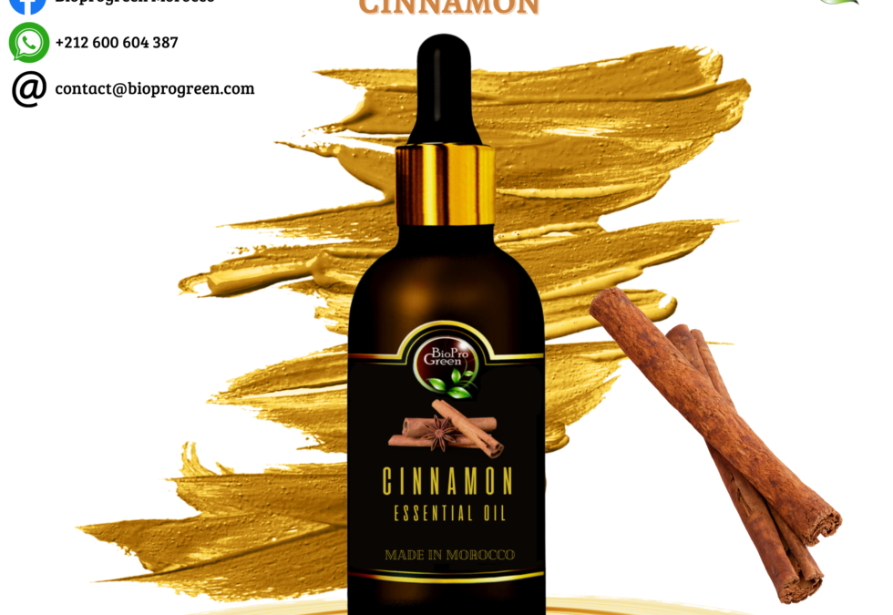 Cinnamon essential oil manufacturers