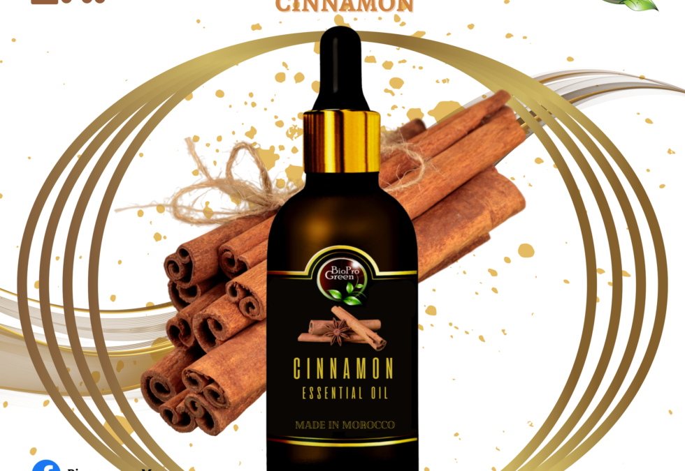 Cinnamon essential oil producer