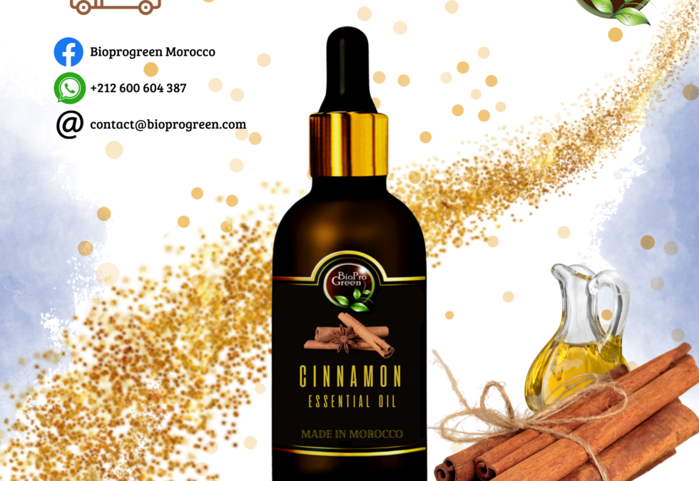Cinnamon essential oil supplier