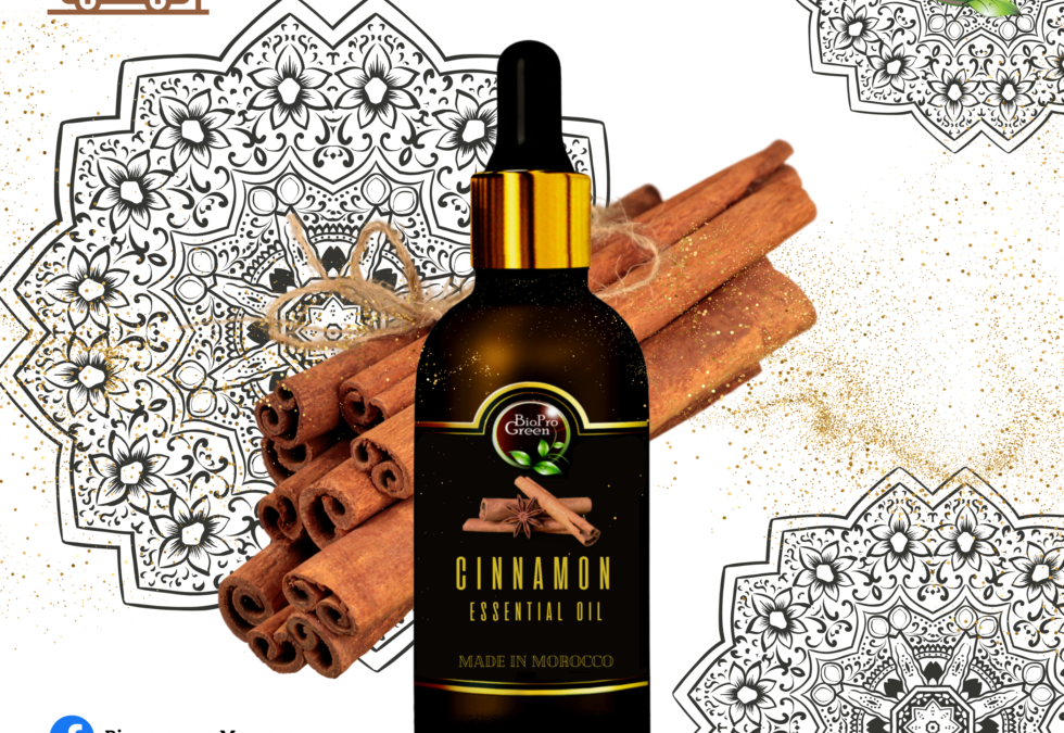 Wholesale cinnamon Essential Oil