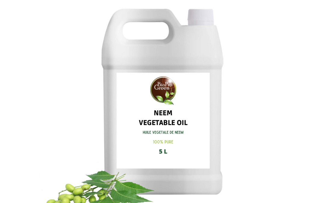 Huile de Neem
