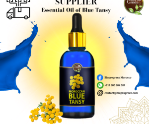 Blue Tansy Oil for Supplier