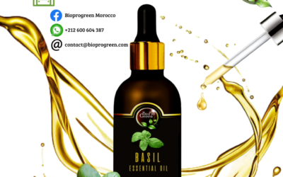 Basil essential oil for producer