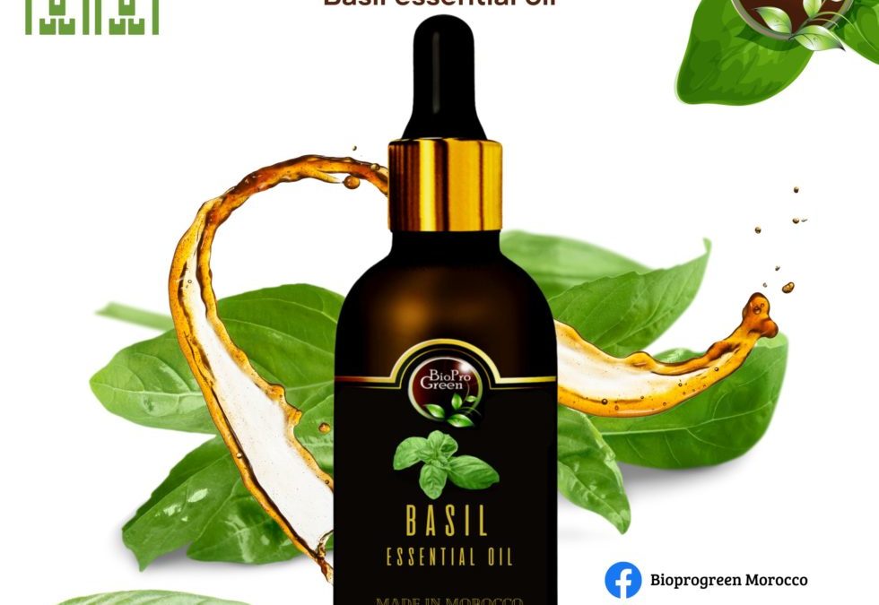 Basil essential oil for supplier