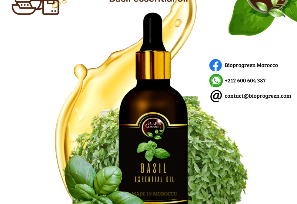 Basil essential oil for exporter