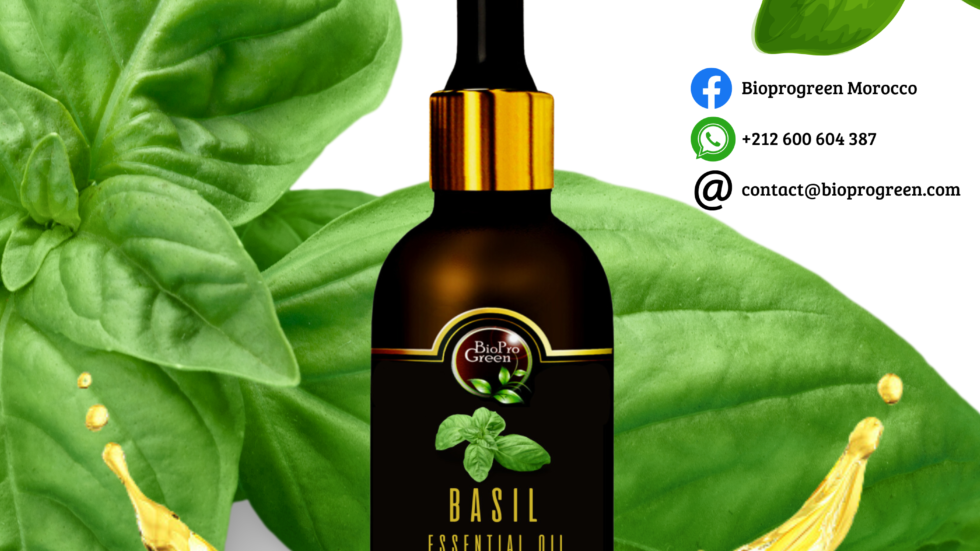 Basil essential oil for factory
