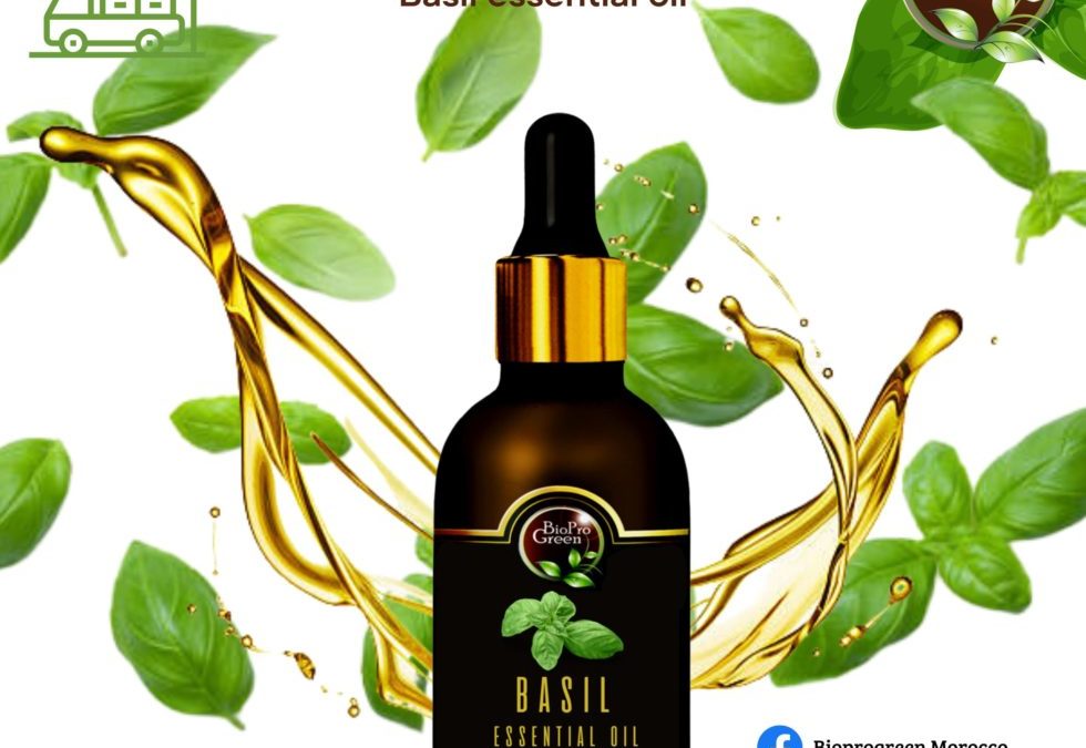 Basil essential oil for wholesaler