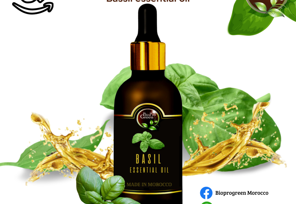 Basil essential oil for Amazon