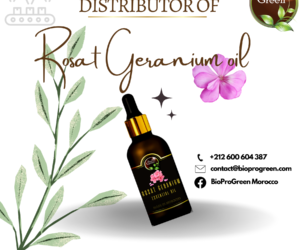 Rosat Geranium oil distributors