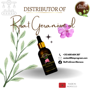 Rosat Geranium oil distributors
