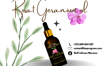 Rosat Geranium oil distributors