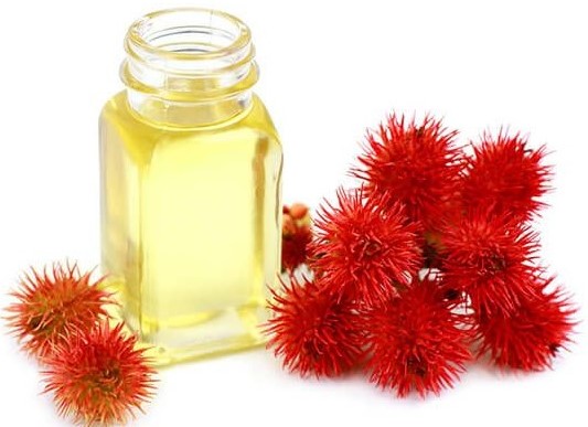 l’huile de Ricin
