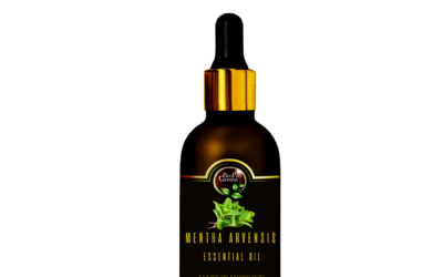 Découverte de la magie de l’huile essentielle de menthe  poivrée : Une histoire d’Innovation et d’Excellence