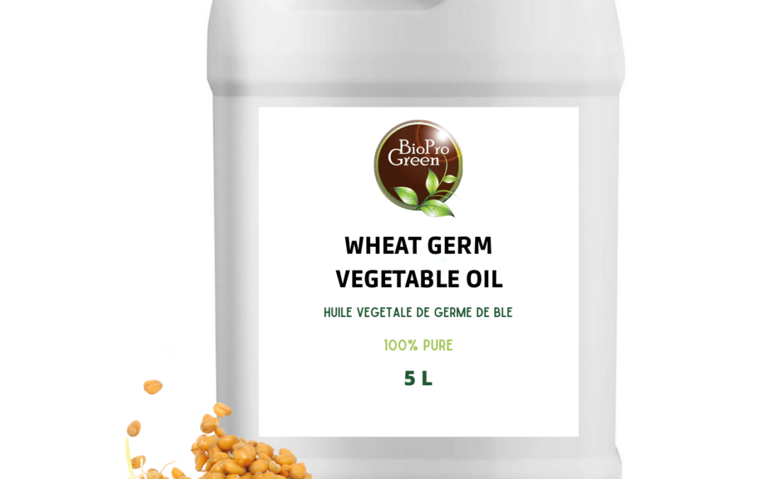 Huile Essentielle de Germe de Blé : 5 Bienfaits Incontournables