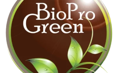 Organic Pro Green Basil Essential Oil : Benefits, Uses and Precautions